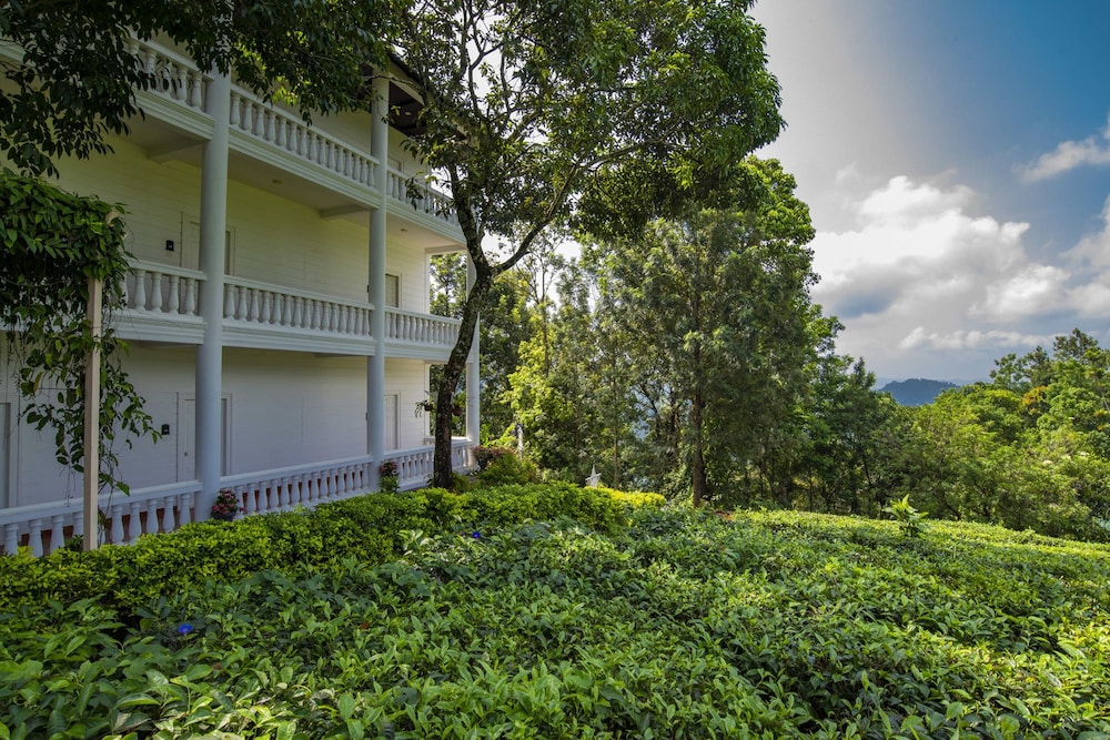 Tea Harvester Munnar 44/50
