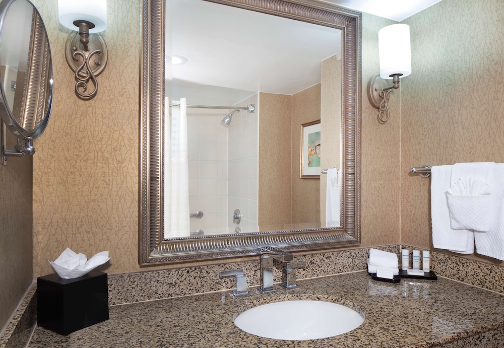 Embassy Suites by Hilton Dallas Near the Galleria 15/71