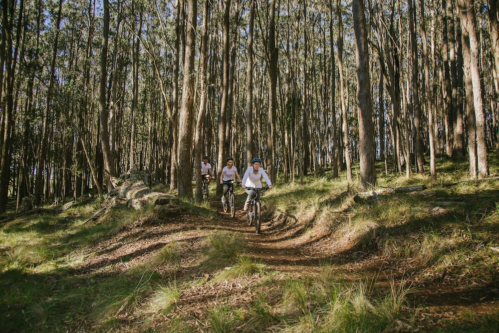 Spicers Peak Lodge 3/82