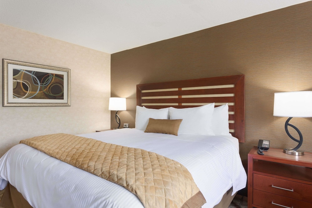 Wyndham Garden Grand Rapids Airport 11/58