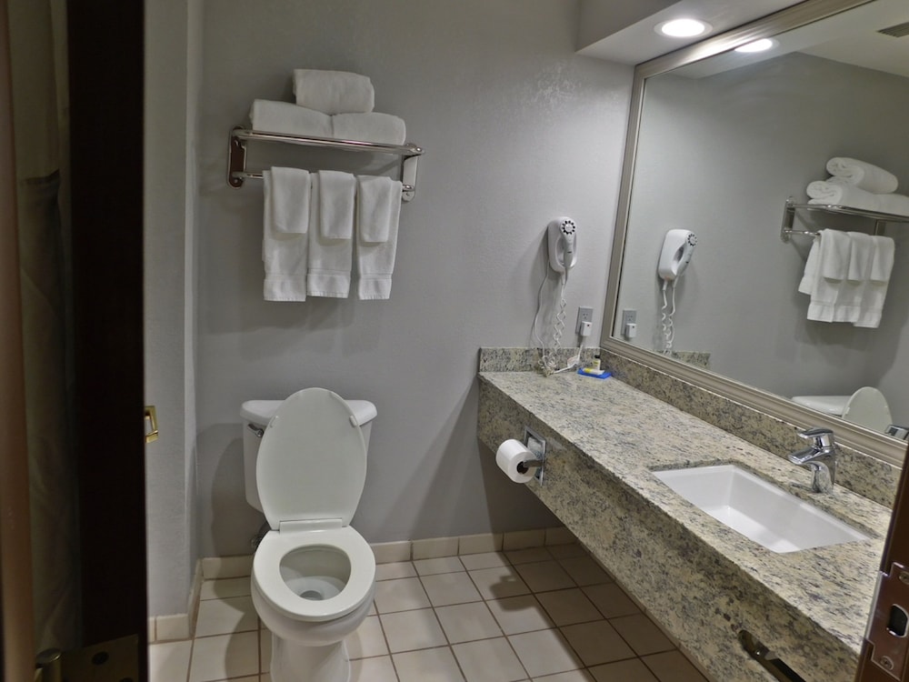 HOLIDAY INN EXPRESS CLEVELAND DOWNTOWN 16/59