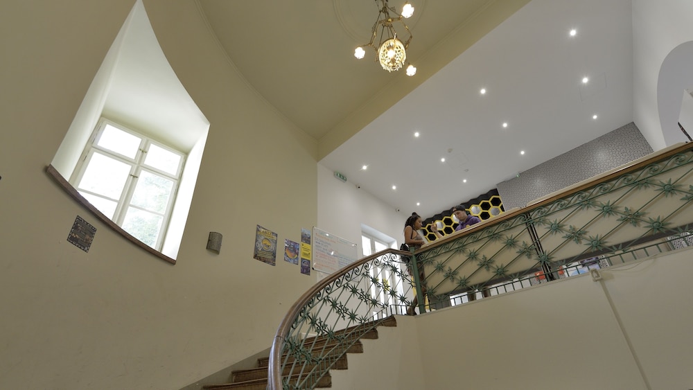 The Hive Party Hostel 50/65
