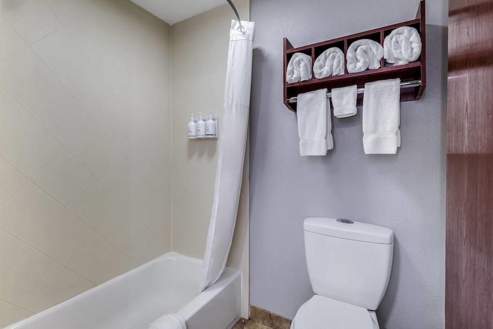 Room, King Bed, La Quinta Inn & Suites by Wyndham Louisville East 9/9