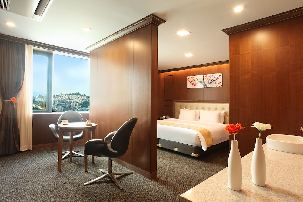 HOTEL SKYPARK KINGSTOWN DONGDAEMUN 37/73
