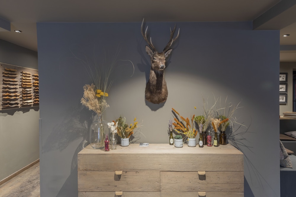 Nomad Lodge and Spa by CERVO 5/50