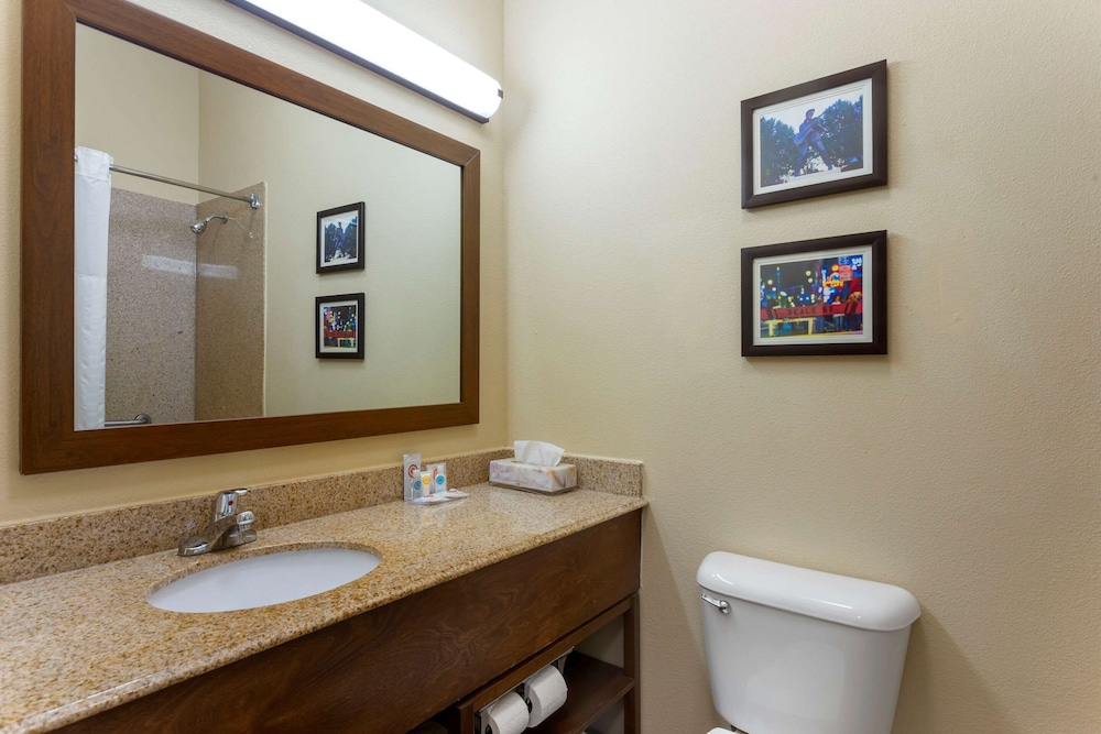 Comfort Inn Marion 21/40