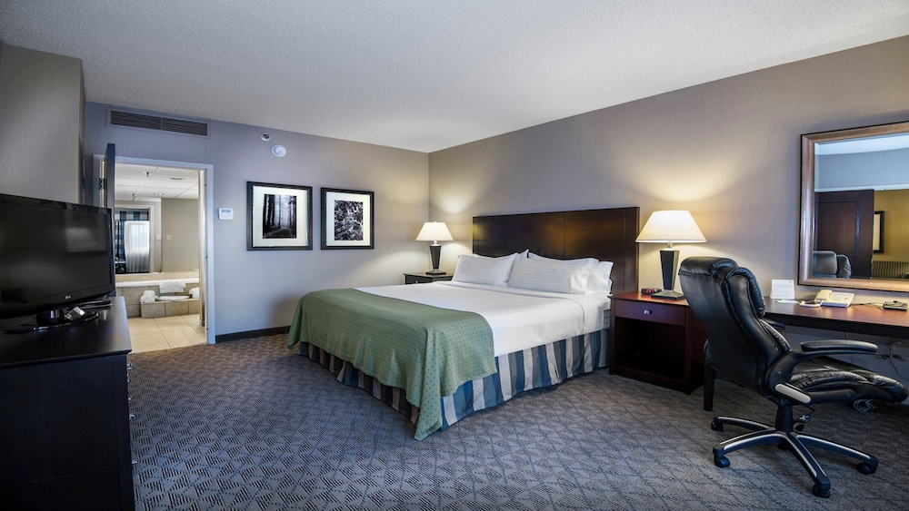 Holiday Inn Springdale/Fayetteville Area 13/50
