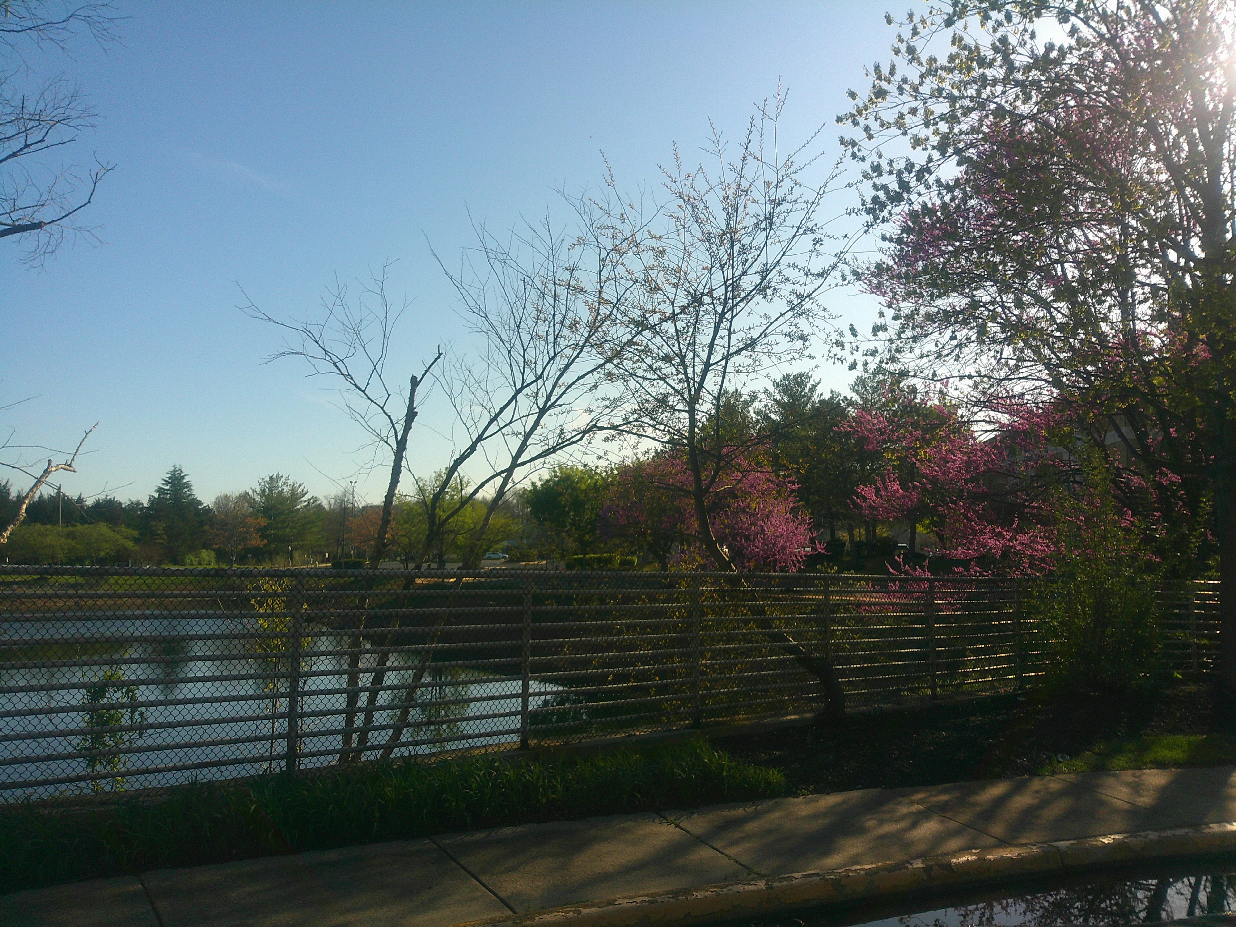 Extended Stay America - Washington Dc - Chantilly 28/28
