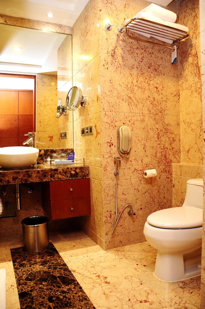Radisson Blu Plaza Hotel Delhi Airport 12/76