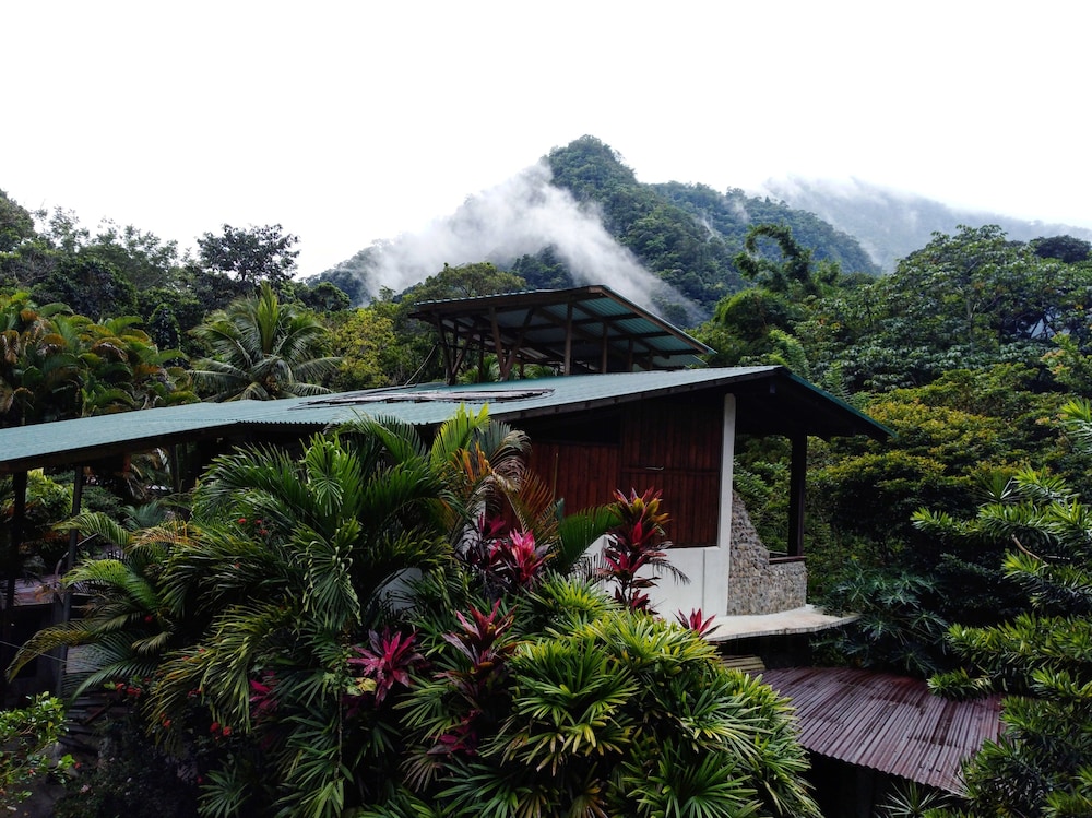 Omega Tours Adventure Company And Eco Jungle Lodge 40/50