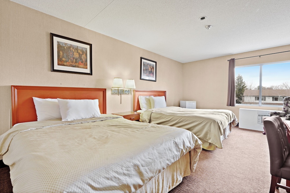 1 BEDROOM, CLASSIC, STUDIO
