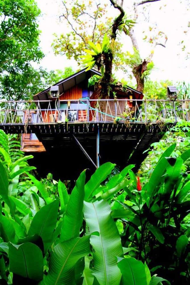 Khao Sok Tree House 3/50