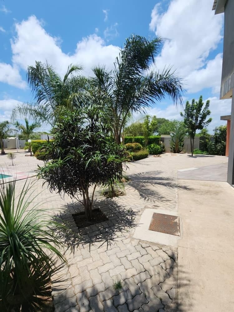 Cycad Palm Hotel 42/50