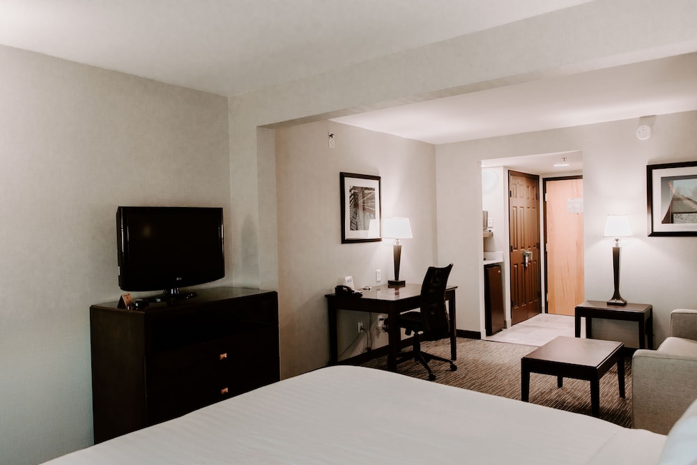 Wingate by Wyndham Chantilly / Dulles Airport 17/48