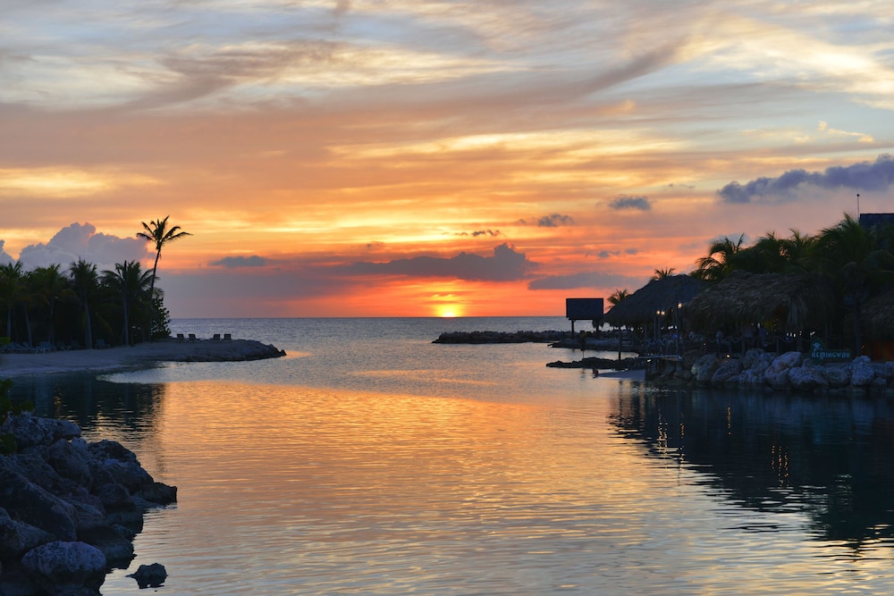 Lions Dive Beach Resort Curacao 59/72