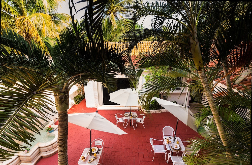 Chez Waffle Hotel 31/69