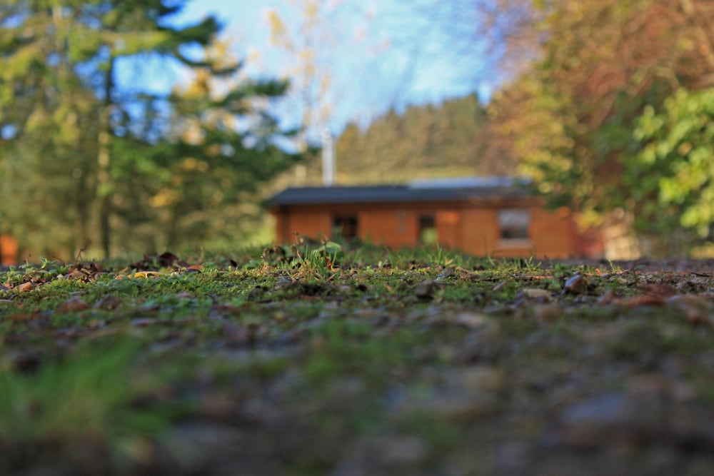 Saplinbrae Hotel And Lodges 46/50
