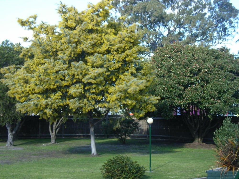 BAIRNSDALE MAIN MOTEL 22/27