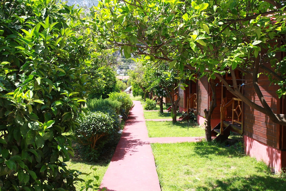 Baris Pension & Bungalows 37/50