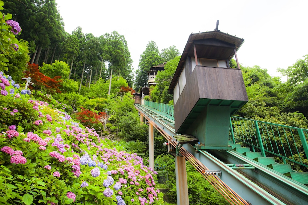 Shin Iya Onsen Hotel Kazurabashi 54/55