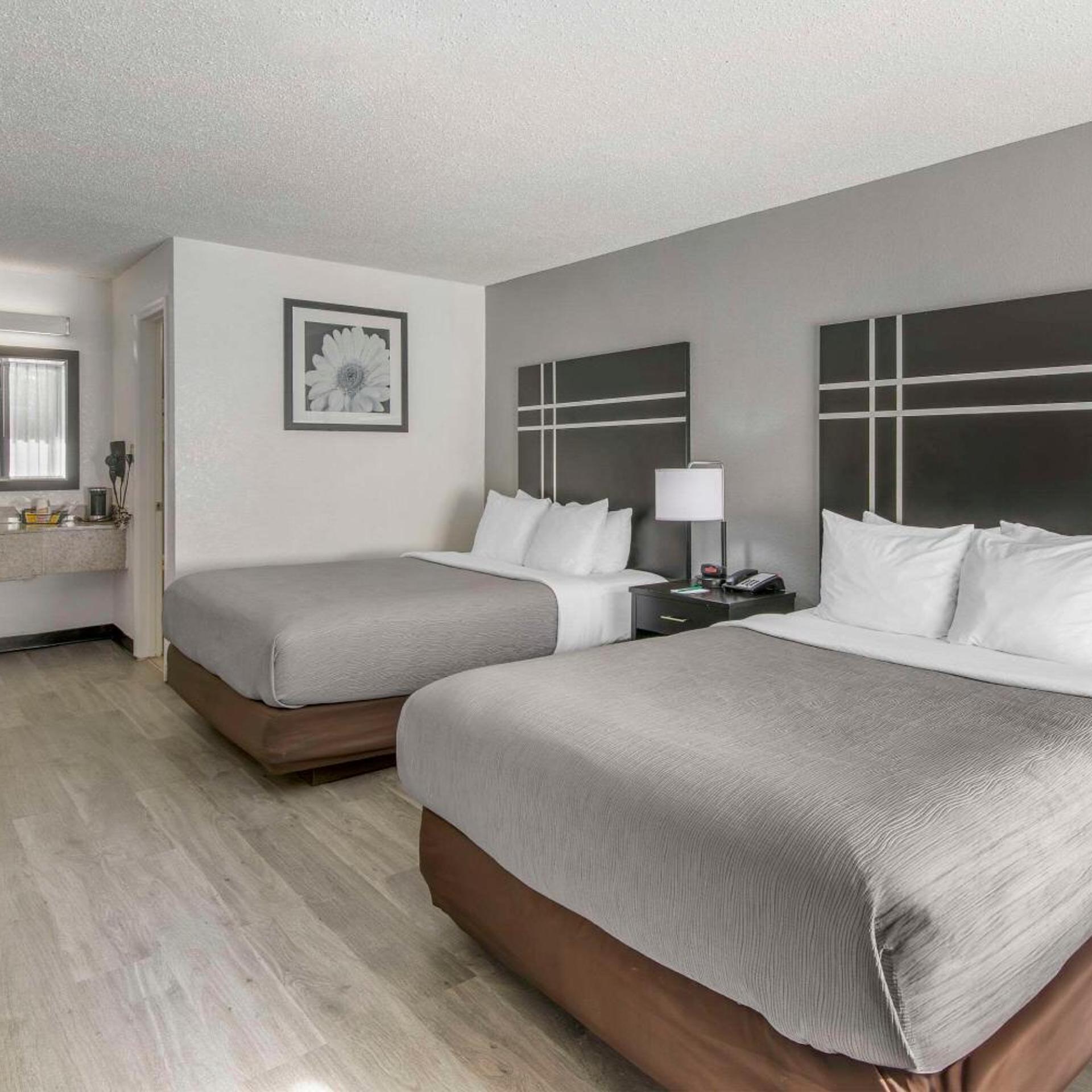 Suite, Queen Bed