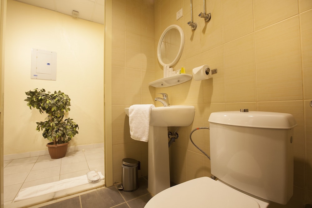فندق لي لي النخيل(Palms Lily Hotel Suites) 33/33