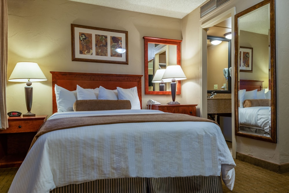 Best Western Vista Inn At The Airport 21/47