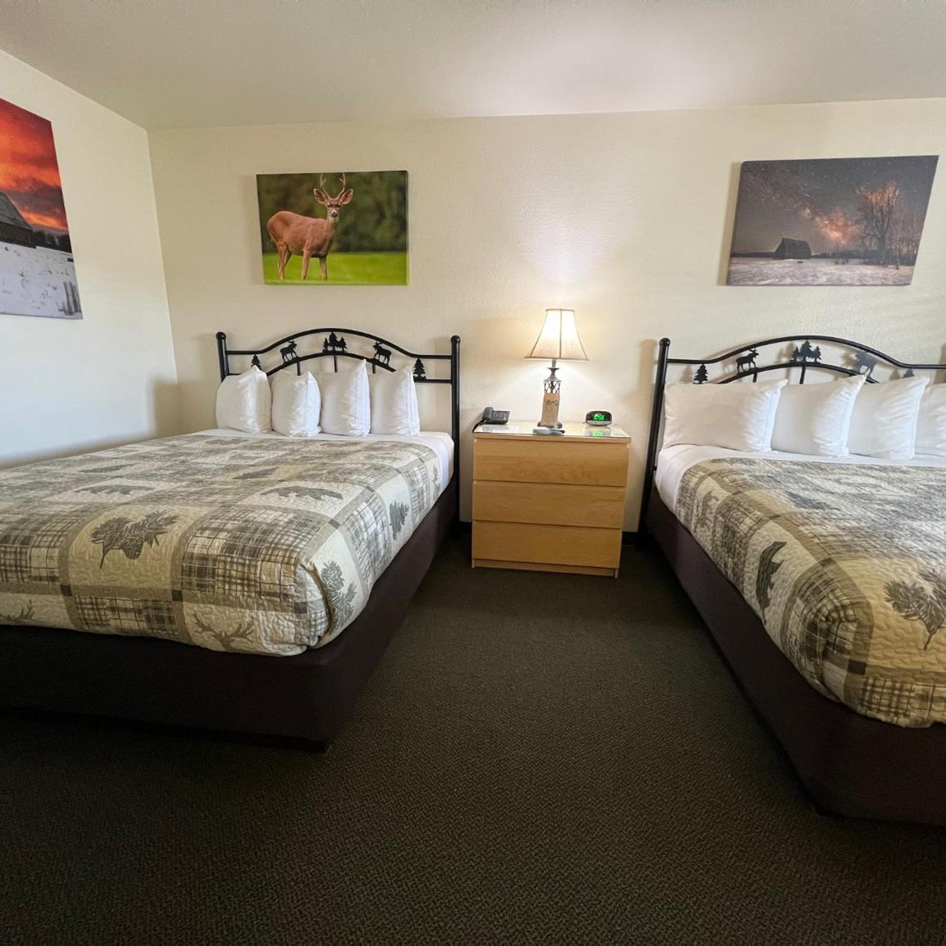 Antlers Inn 15/50