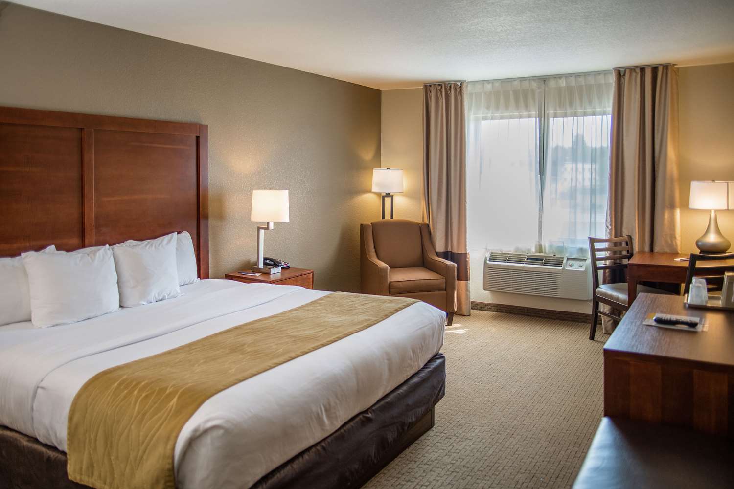 Room, King Bed, Accessible