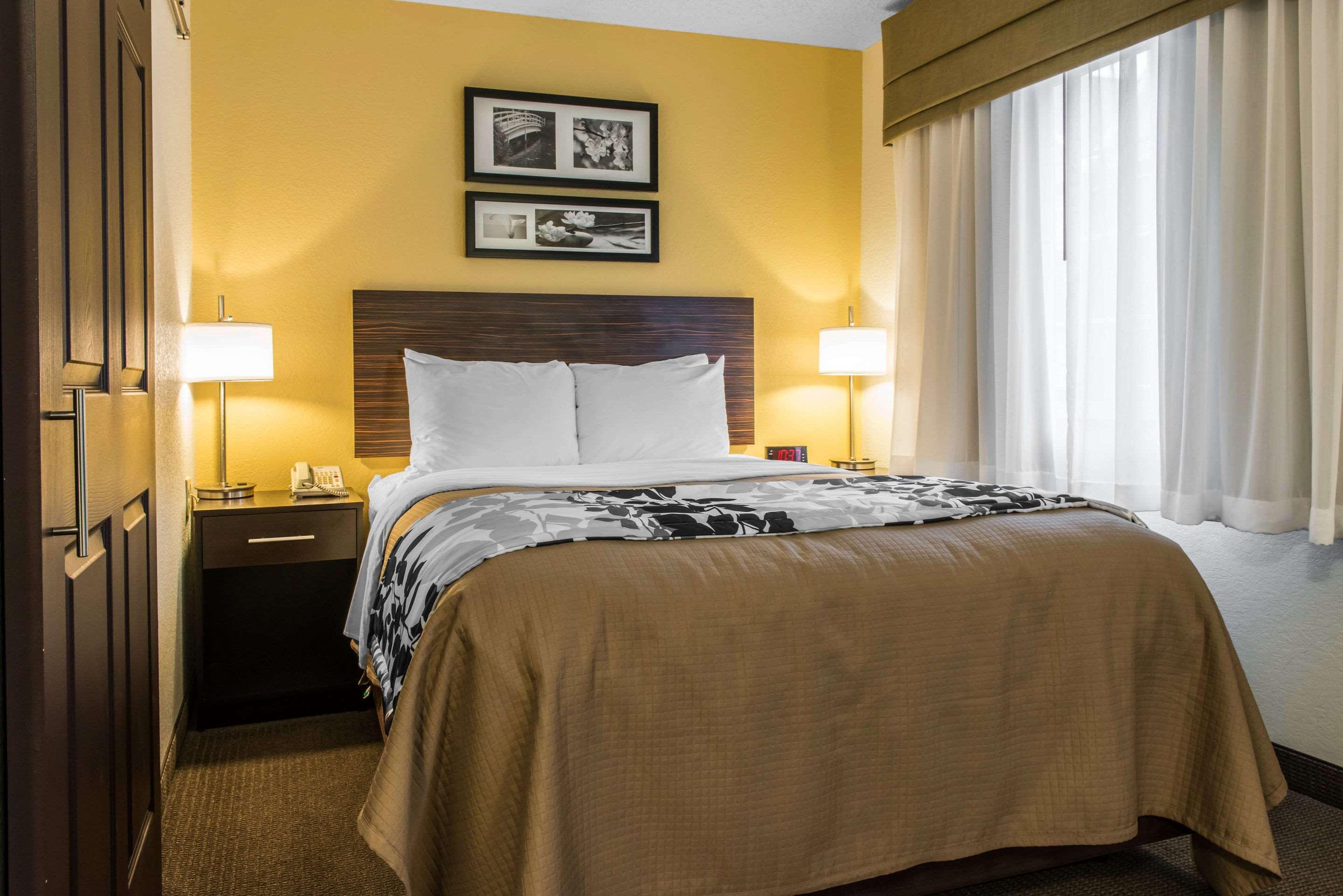 SUITE, QUEEN BED