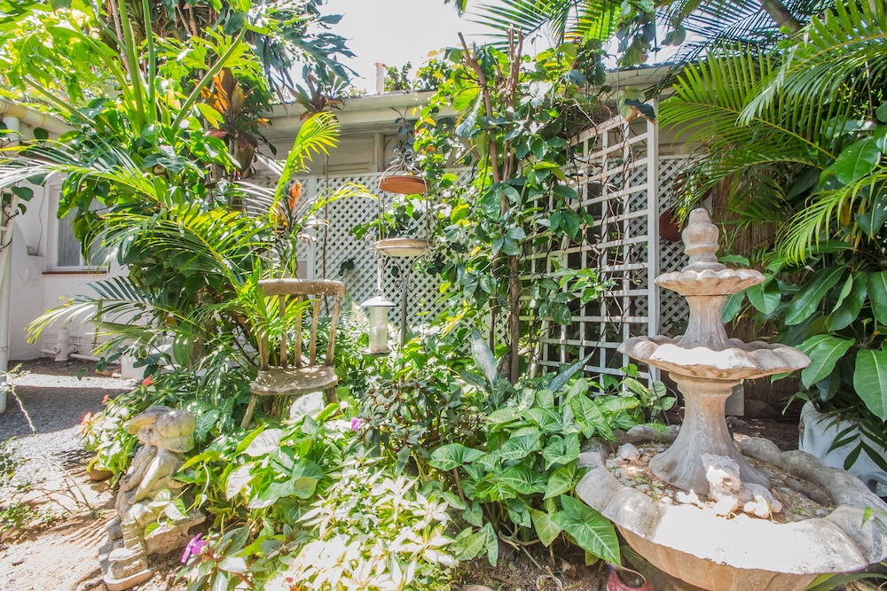 Honeypot Guesthouse 40/50