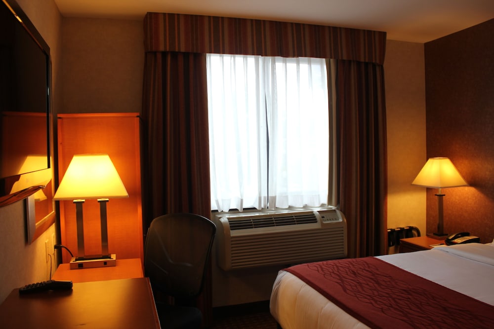 Comfort Inn Bellerose 19/46