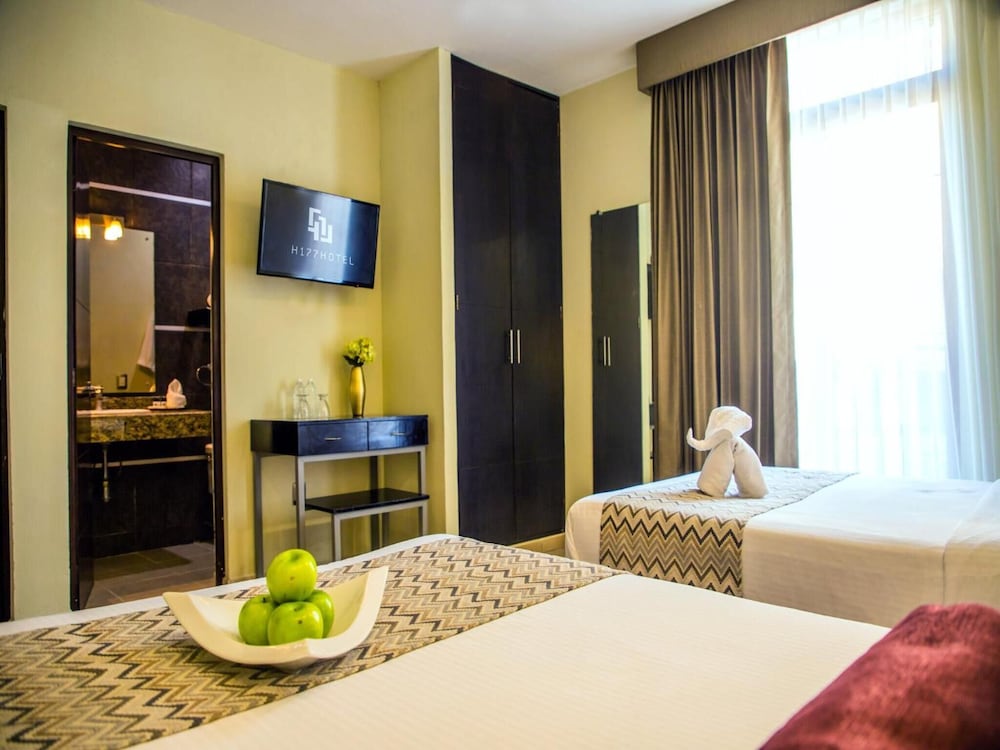 H177 Hotel 19/53