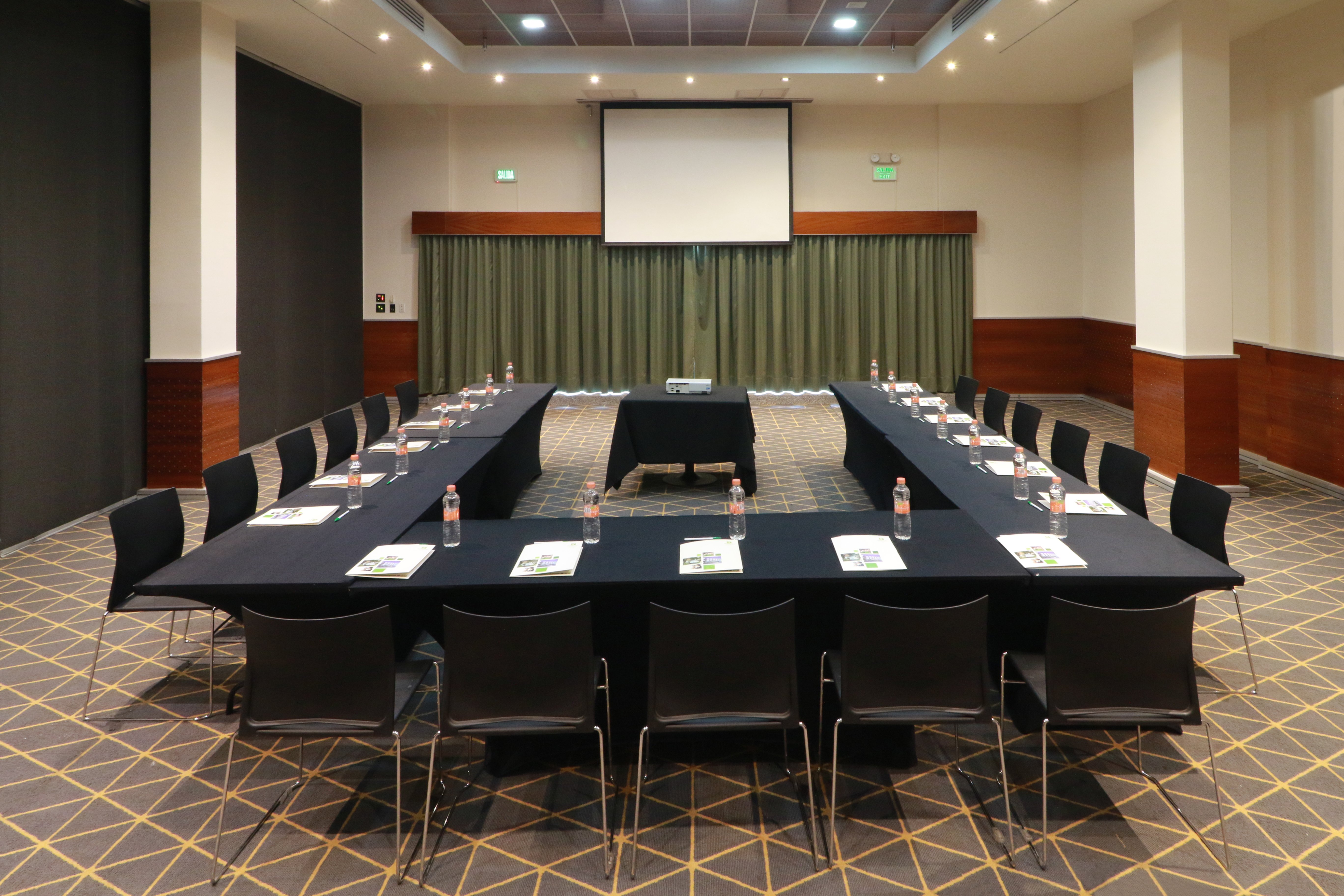 Holiday Inn San Luis Potosi-Quijote 35/50