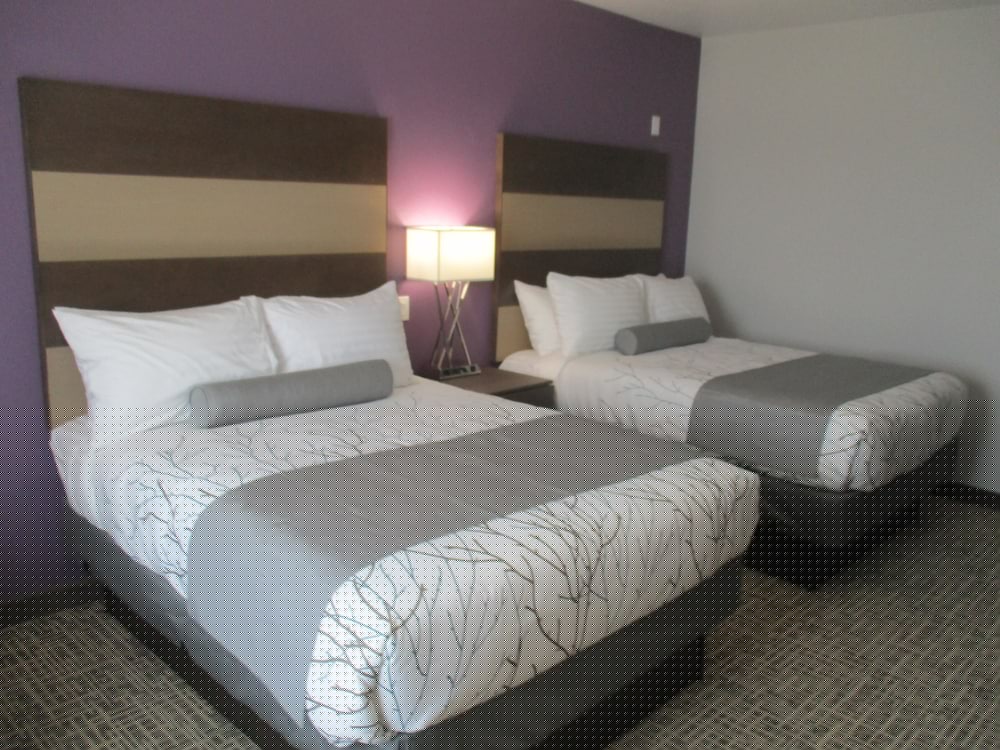 Best Western Plus Buda Austin Inn and Suites 12/35