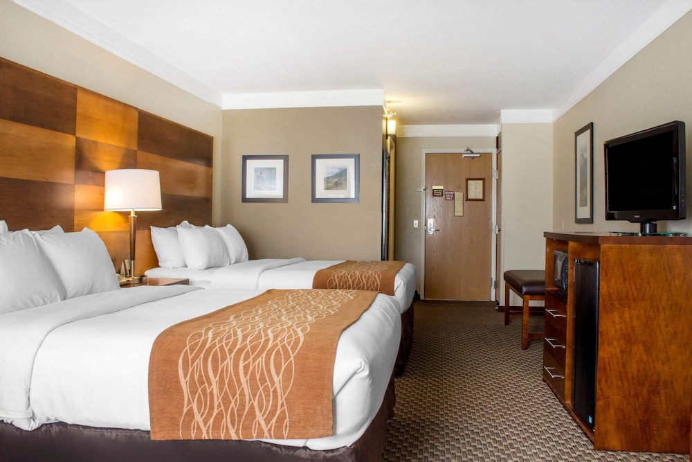 Comfort Inn & Suites Durango, CO 18/53