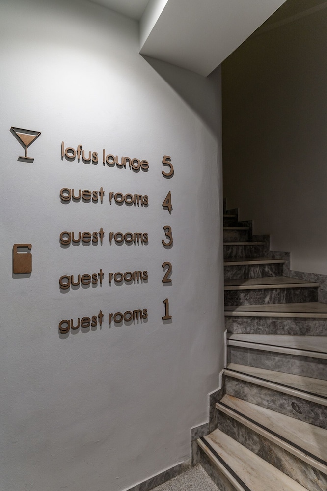 Lofus Bio Suites 20/50