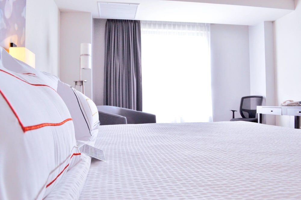 Courtyard By Marriott San Luis Potosi 11/42