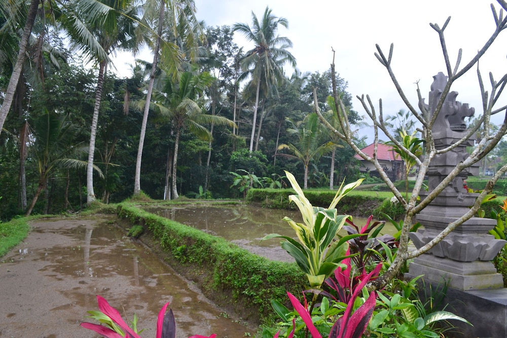 Buda Cottage Ubud 30/36