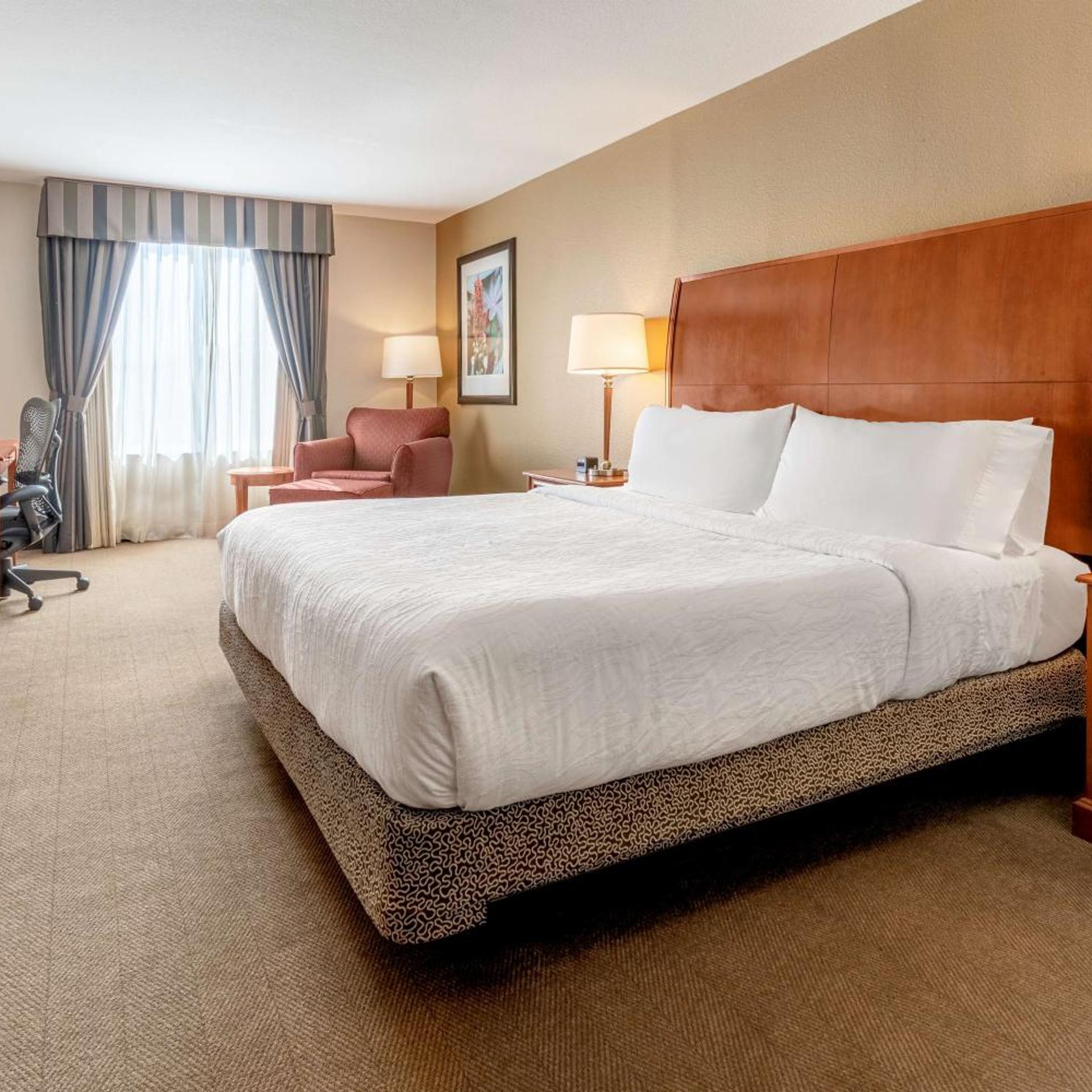 JUNIOR SUITE, KING BED, SOFA