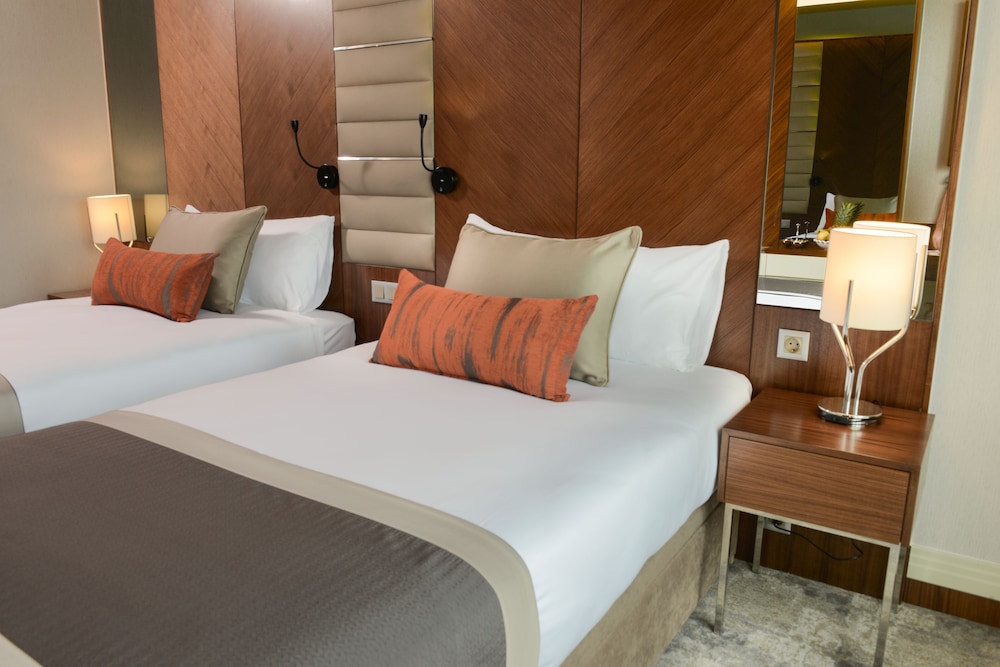 Ankara Alegria Business Hotel 16/50
