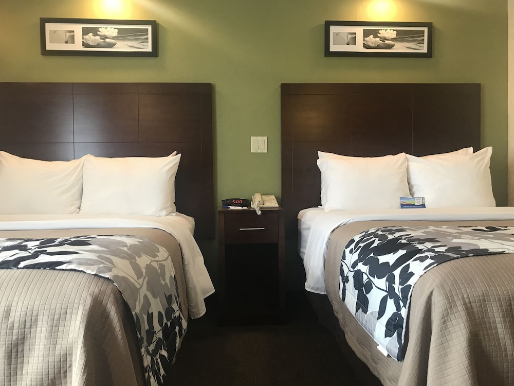 Baymont By Wyndham Flat Rock 22/49