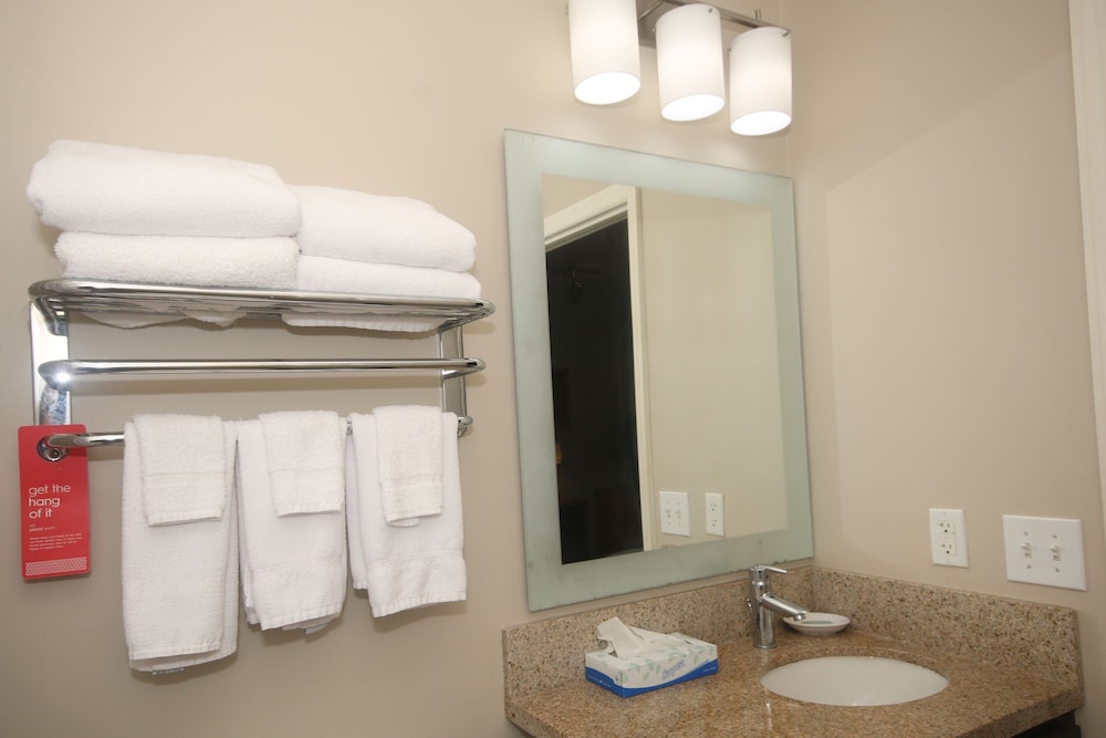 Towneplace Suites By Marriott Aiken Whiskey Road 37/37