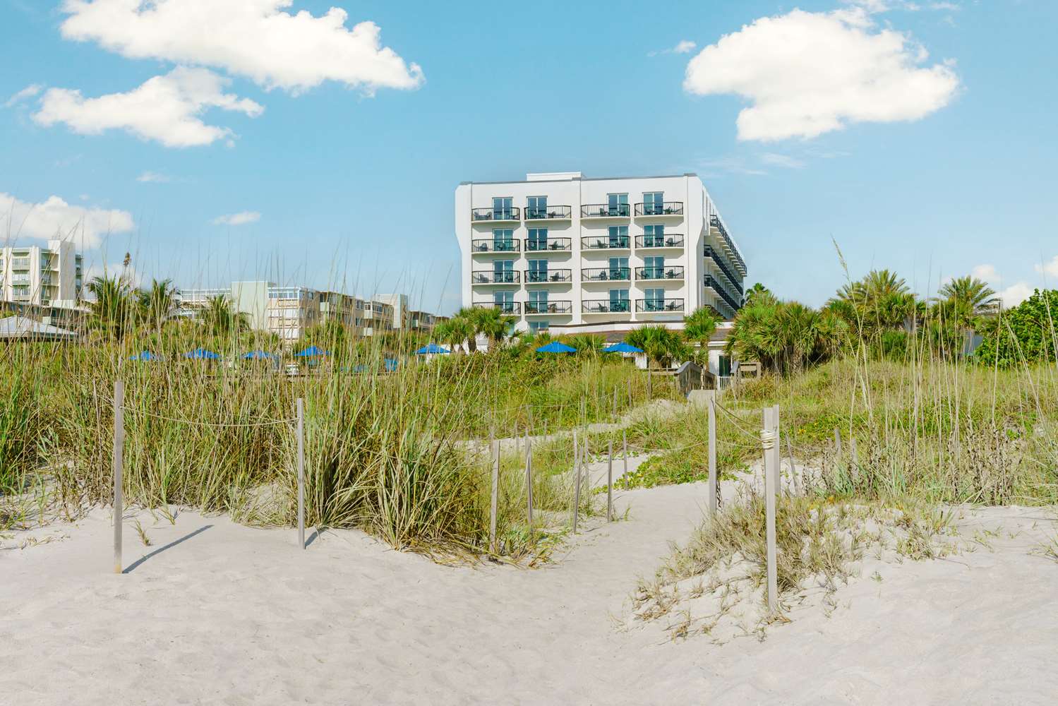 Hilton Garden Inn Cocoa Beach Oceanfront in COCOA BEACH - FL