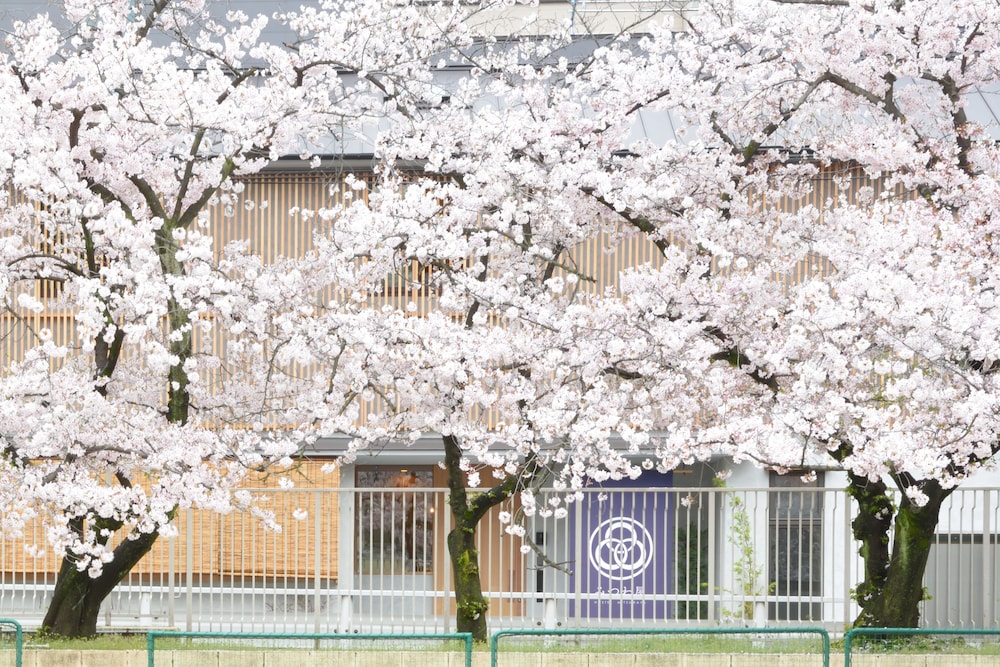Hostel Mitsuwaya Osaka 4/60