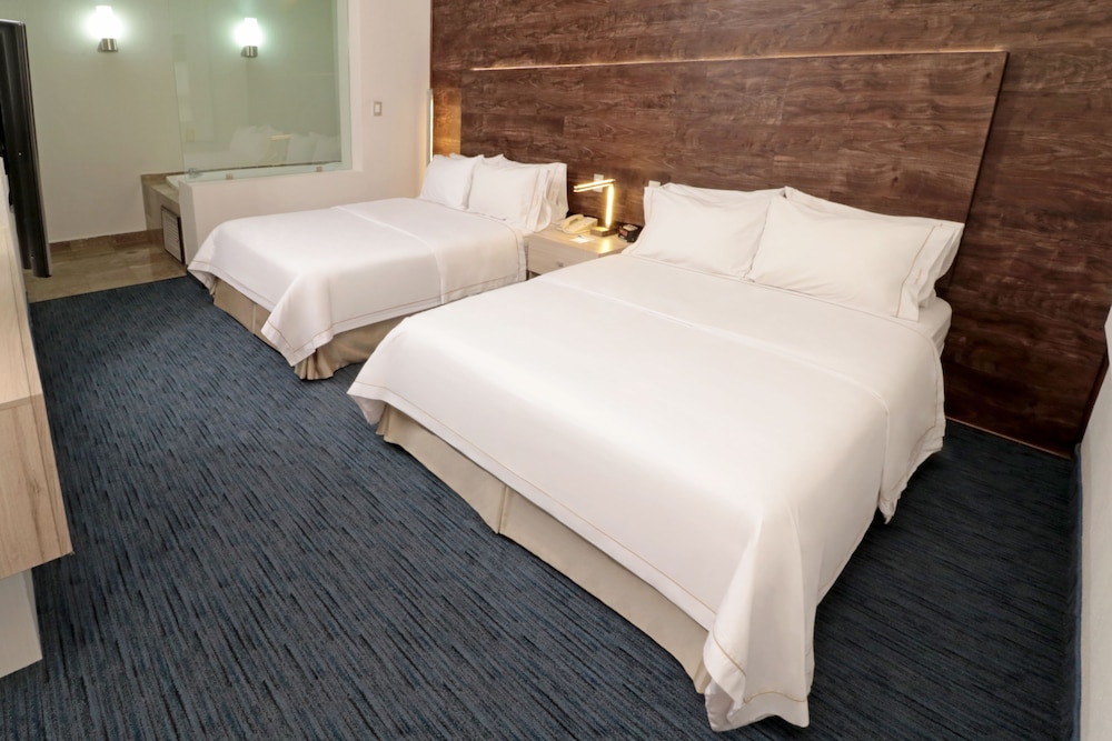 Holiday Inn Express San Luis Potosi 19/80
