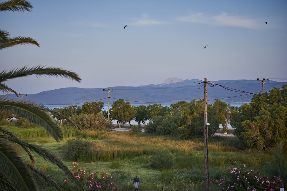 Kalloni Bay 42/50