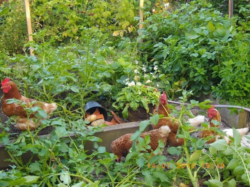 Birch House B B 28/33