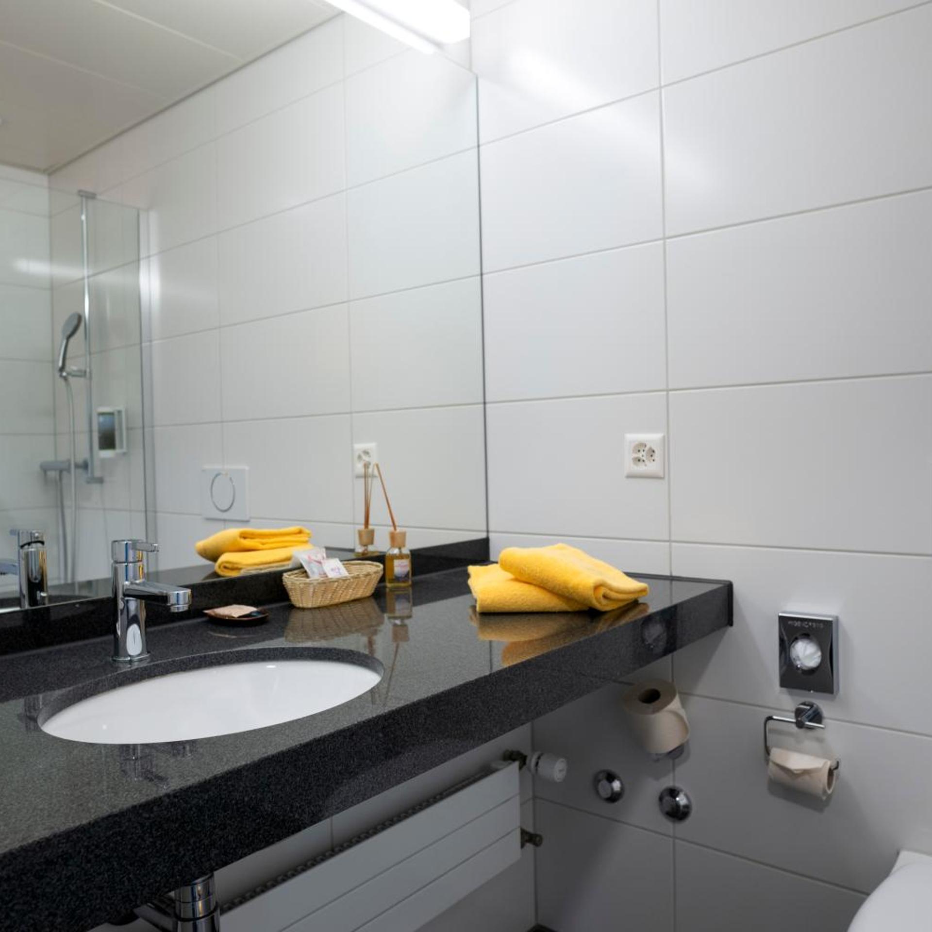 Comfort, Double Bed, Villmergen Swiss Quality Hotel 6/6