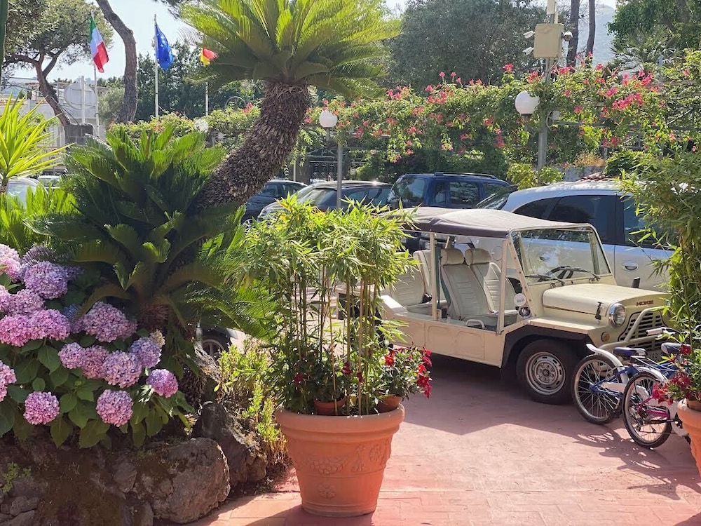 Hotel Pineta 43/54